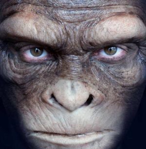 Area 51 Chimp Face