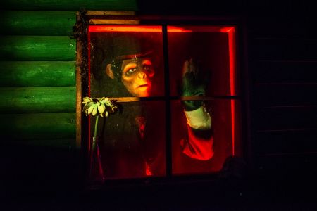 chimp halloween