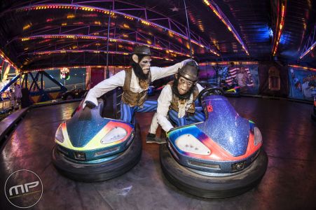 Chimps Bumper Cars