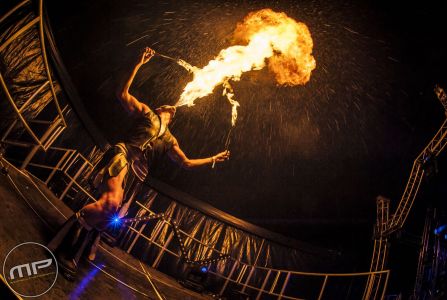 Fire Breathing Zoo Project