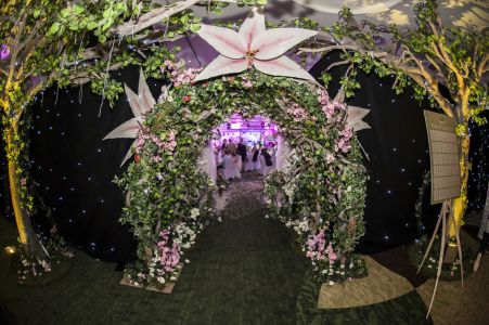 Forest Tunnel