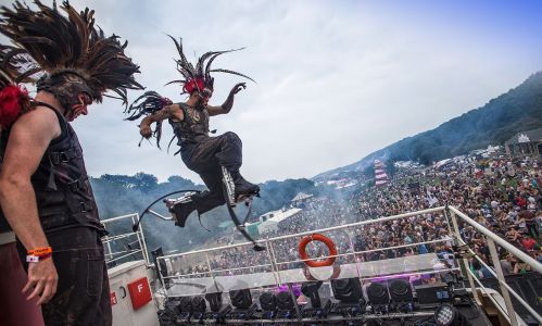 hms bestival performers