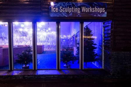 ice sculpting workshops