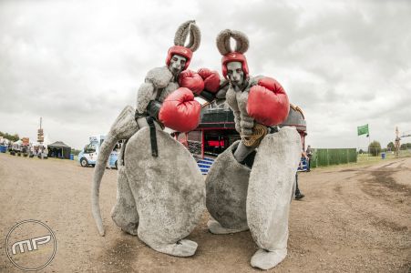 Kangaroo Boxers