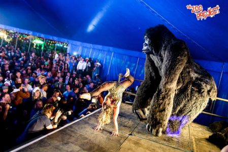 King Kong Zoo Project Festival