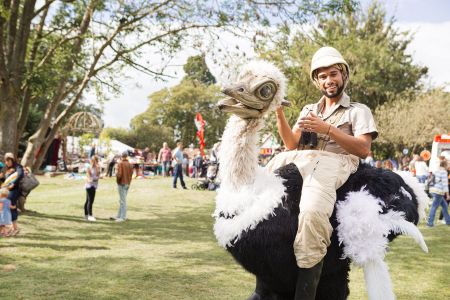 ostrich entertainer