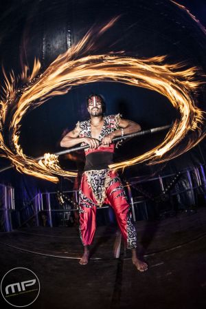 The Zoo Project Fire Dancer