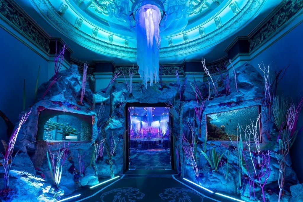 area 51 aqua underwater decor