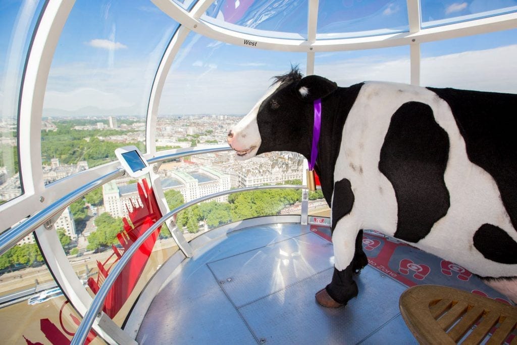 area 51 cow on london eye