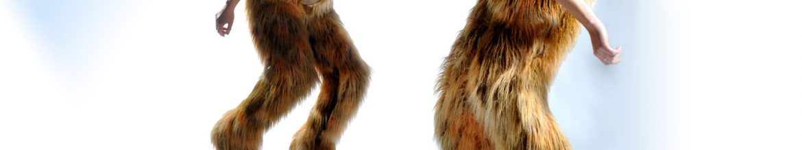 FAUNS
