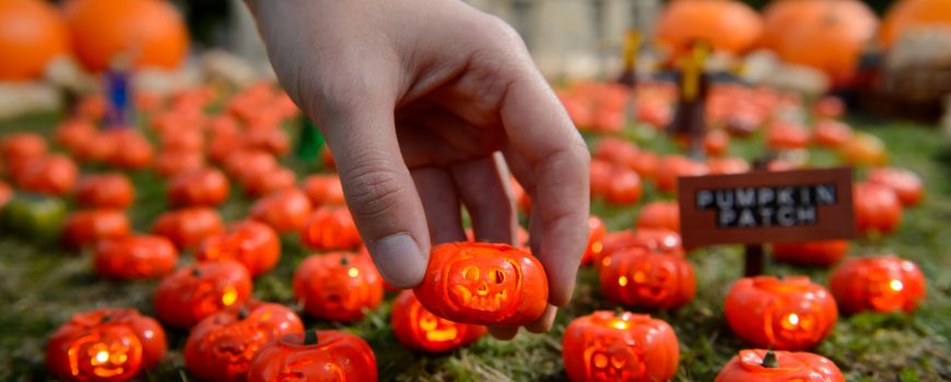 LEGOLAND: WORLD’S SMALLEST PUMPKIN PATCH