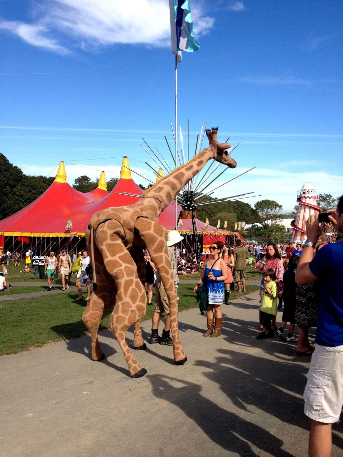 giraffe walkabout