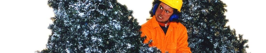 LIVING CHRISTMAS TREES!